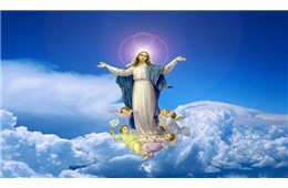 ĐỨC MẸ GIÚP TÔI THẤY TRƯỚC - GB. Bùi Tuần