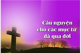 NGẬM NGÙI TIỄN ĐƯA CÁC ANH EM LINH MỤC - GB. Bùi Tuần