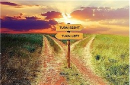 TÌM MỘT  LỐI SỐNG TRONG  HOÀN CẢNH CÁCH LY