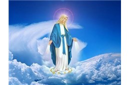 ĐỨC MẸ GIÚP TÔI SỐNG YÊU THƯƠNG LÚC NÀY - GB. Bùi Tuần