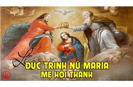 ĐỨC MẸ GIÚP TÔI  NHÌN VÀO ĐỨC TIN CỦA HỘI THÁNH CHÚA - GB. Bùi Tuần
