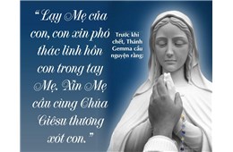 ĐƠN SƠ THA THIẾT VỚI ĐỨC MẸ - GB. Bùi Tuần