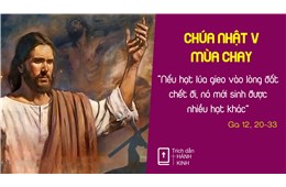 Chúa nhật V Mùa Chay B ( Ga 12, 20-33 ) năm 2021