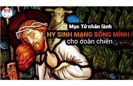 Chúa nhật IV Phục Sinh Năm B ( Ga 10, 11-18 ) năm 2021