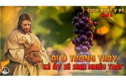 Chúa Nhật V Phục Sinh B ( Ga 15, 1-8 ) năm 2021