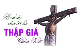 ĐỨC MẸ ĐANG GIÚP TÔI  CẢM NHẬN VINH QUANG CỦA TÔI  LÀ THÁNH GIÁ CHÚA KITÔ - GB. Bùi Tuần