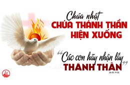 BIẾT ĐÓN NHẬN CHÚA - GB. Bùi Tuần