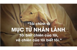 NGUỒN VUI SỐNG CỦA TÔI LÀ CHÚA - GB. Bùi Tuần