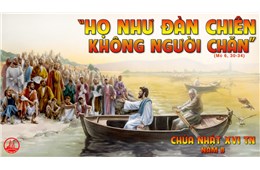 Chúa nhật XVI Quanh năm B ( Mc 6, 30-34 ) năm 2021
