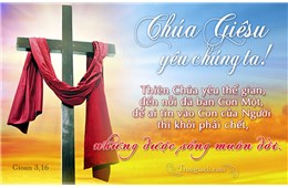 NHỮNG TIẾNG CHUÔNG KÊU GỌI YÊU THƯƠNG - GB. Bùi Tuần