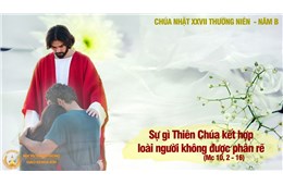 Chúa nhật XXVII Quanh năm B ( Mc 10, 2-16 ) năm 2021