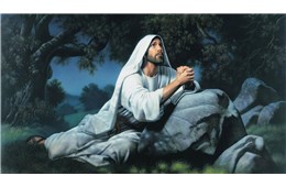 ĐỨC MẸ KHUYÊN TÔI:  LÚC NÀY HÃY CẦU NGUYỆN CHO MÌNH  VÀ CHO CÁC LINH MỤC THEO LỜI NGUYỆN  CỦA CHÚA GIÊSU XƯA TRONG VƯỜN CÂY DẦU - GB. Bùi Tuần