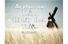 NGÀY CUỐI NĂM, ĐỨC MẸ KHUYÊN TÔI:  HÃY TẠ ƠN CHÚA, VÌ ĐƯỢC LÀ HẠT LÚA CHÔN VÙI DƯỚI ĐẤT VÀ SẼ THỐI ĐI NHƯ LỜI CHÚA GIÊSU ĐÃ PHÁN XƯA - GB. Bùi Tuần