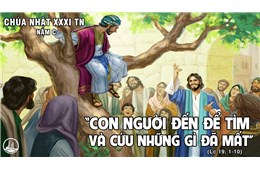 Chúa nhật XXXI Quanh năm C ( Lc 19, 1-10 ) năm 2022