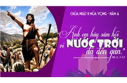 Chúa nhật II Mùa Vọng A ( Mt 3, 1-12 ) năm 2022