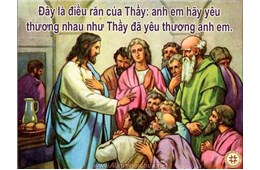 ĐỨC MẸ DẠY TÔI: LÚC NÀY HƠN BAO GIỜ HẾT; HÃY SỐNG LỜI CHÚA DẠY. “NGƯỜI TA CỨ DẤU NÀY, MÀ NHẬN BIẾT CÁC CON LÀ MÔN ĐỆ THẦY LÀ CHÚNG CON YÊU THƯƠNG NHAU”. (Ga 13,35)