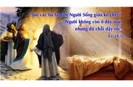 Vọng Phục Sinh Năm C  ( Lc 24, 1-12 ) năm 2022
