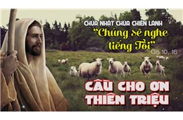 Chúa nhật IV Phục sinh C - Chúa nhật Chúa Chiên Lành- Cầu cho Ơn Thiên Triệu Linh mục-Tu sĩ. ( Ga 10, 27-30 ) năm 2022