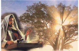 BIẾT ĐÓN NHẬN - GB. Bùi Tuần