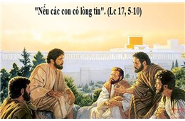 Chúa Nhật XXVII Quanh Năm ( Lc 17, 5-10 ) năm 2022