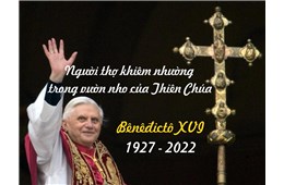 NHỚ VỀ ĐỨC BENEDICTO