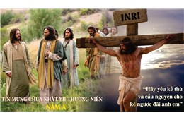 Chúa nhật VII Quanh năm A ( Mt 5, 38-48 ) năm 2023