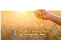 Chúa nhật V Mùa Chay B ( Ga 12, 20-33 ) năm 2024