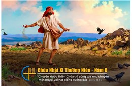 Chúa nhật XI Quanh năm B ( Mc 4, 26-34 ) năm 2024