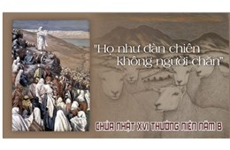 Chúa nhật XVI Quanh năm B ( Mc 6, 30-34 ) năm 2024