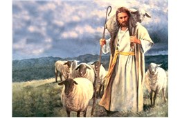 Chúa nhật IV Phục sinh A ( Ga 10, 1-10 ) năm 2026