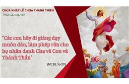 Lễ Chúa Thăng Thiên A  ( Mt 28, 16-20 ) năm 2026