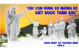 Chúa nhật XII Quanh năm A ( Mt 10, 26-33 ) năm 2026