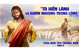 Chúa nhật XIV Quanh năm A ( Mt 11, 25-30 ) năm 2026