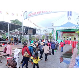 101a9663_resize